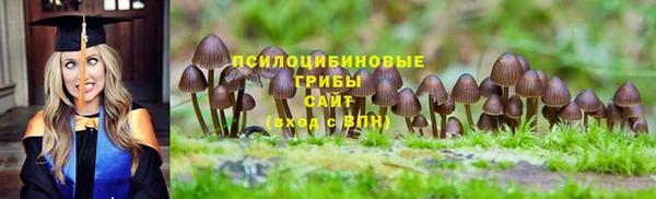 jwh Ростов